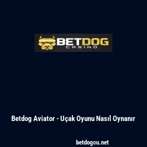 Betdog Aviator - U&ccedil;ak Oyunu Nasıl Oynanır